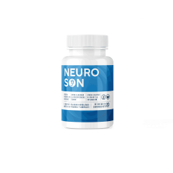 Neuroson